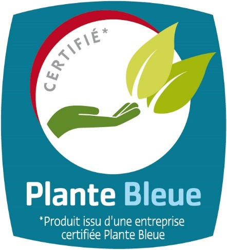 plante-bleue